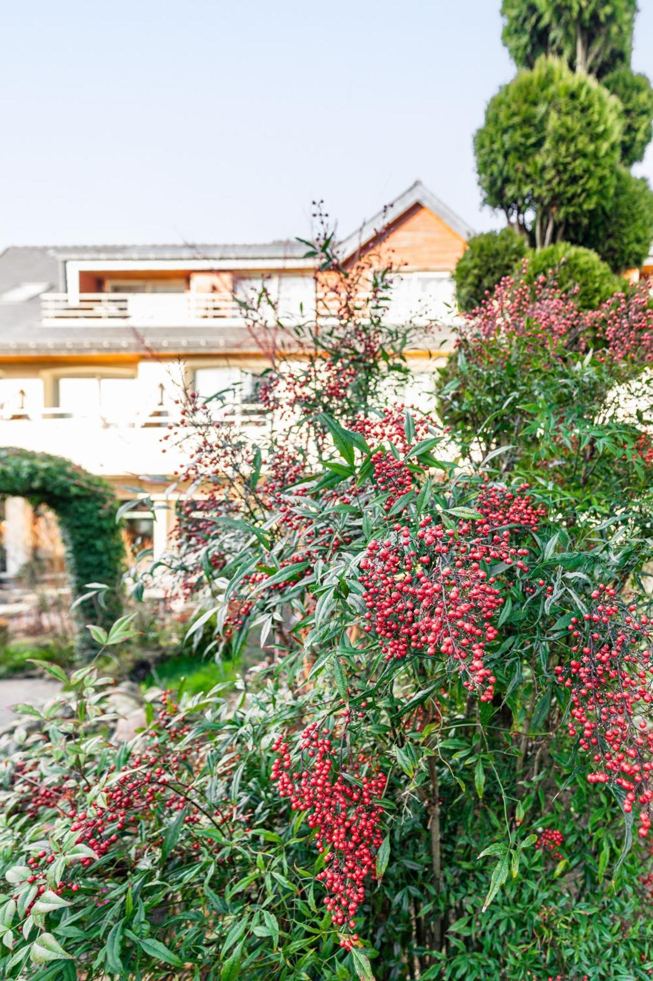 Logis L'Auberge - Maison Glenn Anna Saint Anne-dʼAuray Esterno foto